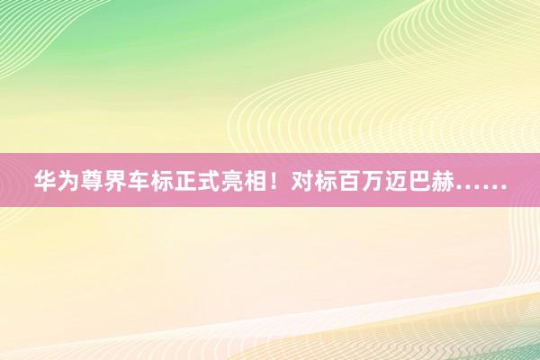 华为尊界车标正式亮相！对标百万迈巴赫……