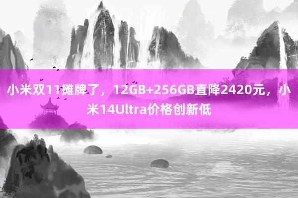 小米双11摊牌了，12GB+256GB直降2420元，小米14Ultra价格创新低