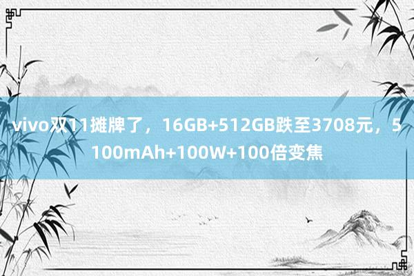 vivo双11摊牌了，16GB+512GB跌至3708元，5100mAh+100W+100倍变焦