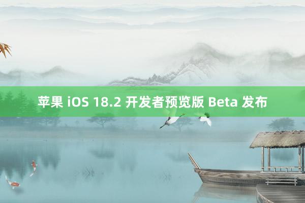 苹果 iOS 18.2 开发者预览版 Beta 发布