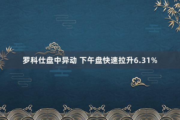 罗科仕盘中异动 下午盘快速拉升6.31%