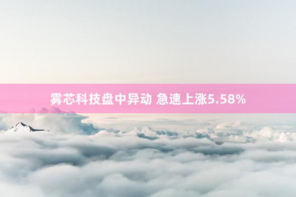 雾芯科技盘中异动 急速上涨5.58%