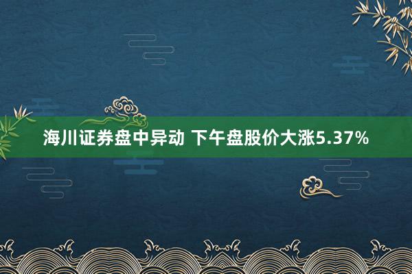 海川证券盘中异动 下午盘股价大涨5.37%