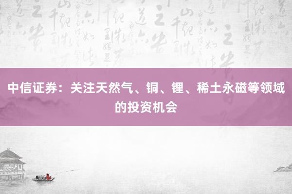 中信证券：关注天然气、铜、锂、稀土永磁等领域的投资机会