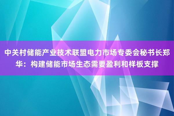 中关村储能产业技术联盟电力市场专委会秘书长郑华：构建储能市场生态需要盈利和样板支撑