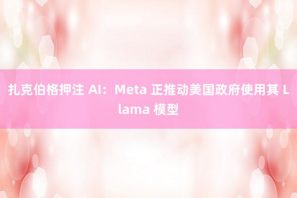 扎克伯格押注 AI：Meta 正推动美国政府使用其 Llama 模型