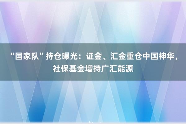 “国家队”持仓曝光：证金、汇金重仓中国神华，社保基金增持广汇能源