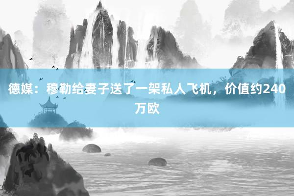 德媒：穆勒给妻子送了一架私人飞机，价值约240万欧