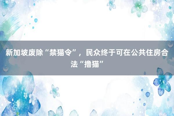 新加坡废除“禁猫令”，民众终于可在公共住房合法“撸猫”