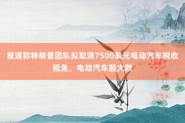 报道称特朗普团队拟取消7500美元电动汽车税收抵免，电动汽车股大跌