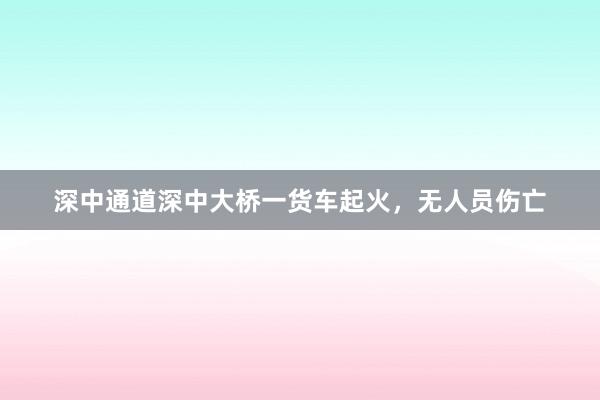 深中通道深中大桥一货车起火，无人员伤亡