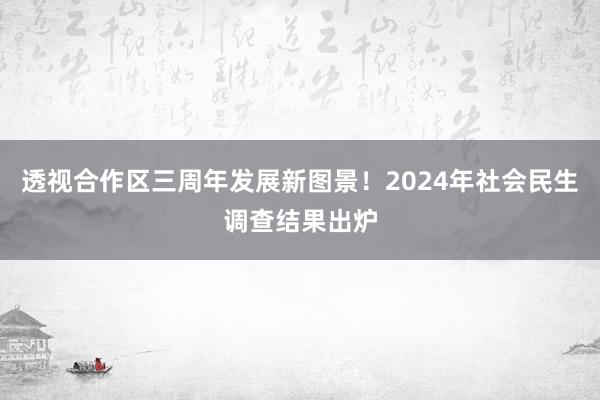 透视合作区三周年发展新图景！2024年社会民生调查结果出炉