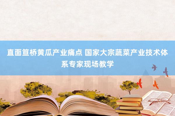 直面笪桥黄瓜产业痛点 国家大宗蔬菜产业技术体系专家现场教学