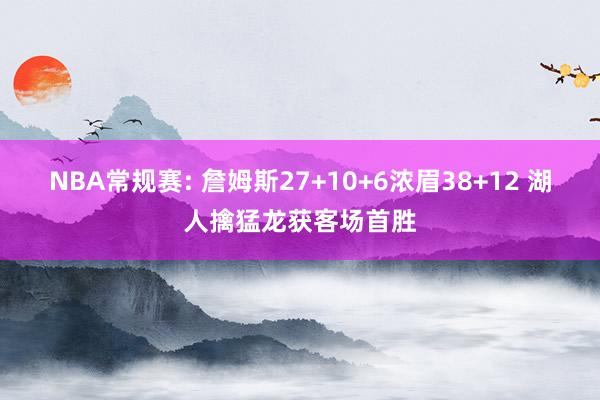 NBA常规赛: 詹姆斯27+10+6浓眉38+12 湖人擒猛龙获客场首胜