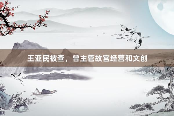 王亚民被查，曾主管故宫经营和文创