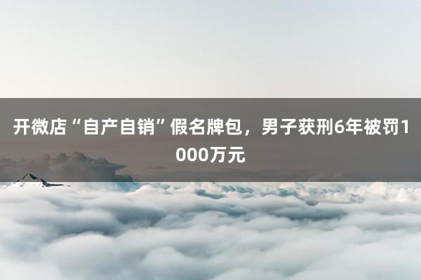 开微店“自产自销”假名牌包，男子获刑6年被罚1000万元