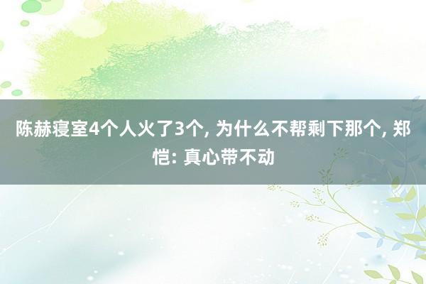 陈赫寝室4个人火了3个, 为什么不帮剩下那个, 郑恺: 真心带不动