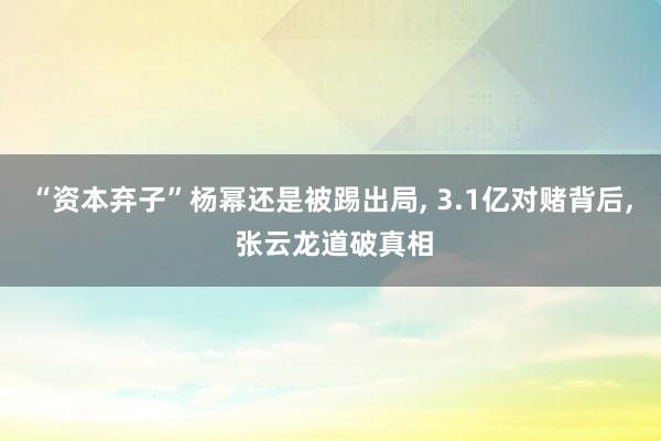 “资本弃子”杨幂还是被踢出局, 3.1亿对赌背后, 张云龙道破真相