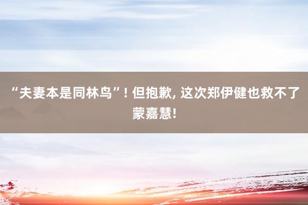 “夫妻本是同林鸟”! 但抱歉, 这次郑伊健也救不了蒙嘉慧!