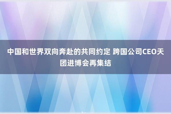 中国和世界双向奔赴的共同约定 跨国公司CEO天团进博会再集结