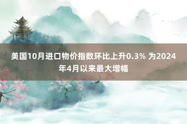 美国10月进口物价指数环比上升0.3% 为2024年4月以来最大增幅