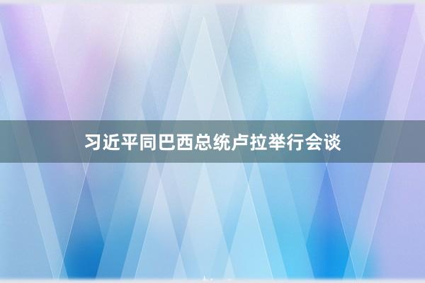 习近平同巴西总统卢拉举行会谈