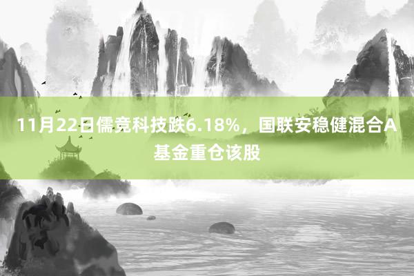 11月22日儒竞科技跌6.18%，国联安稳健混合A基金重仓该股