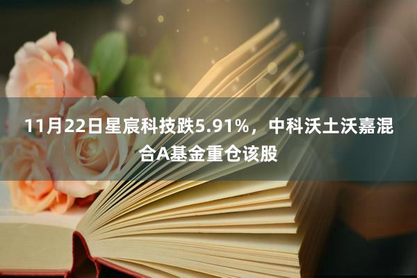 11月22日星宸科技跌5.91%，中科沃土沃嘉混合A基金重仓该股