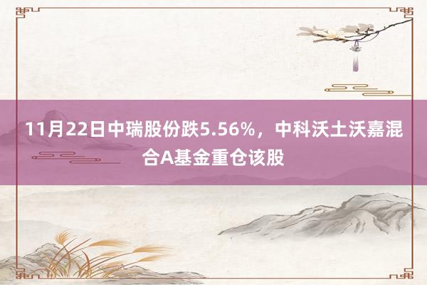 11月22日中瑞股份跌5.56%，中科沃土沃嘉混合A基金重仓该股