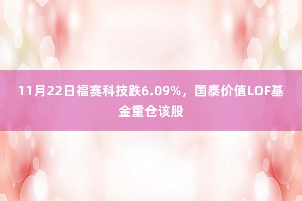 11月22日福赛科技跌6.09%，国泰价值LOF基金重仓该股