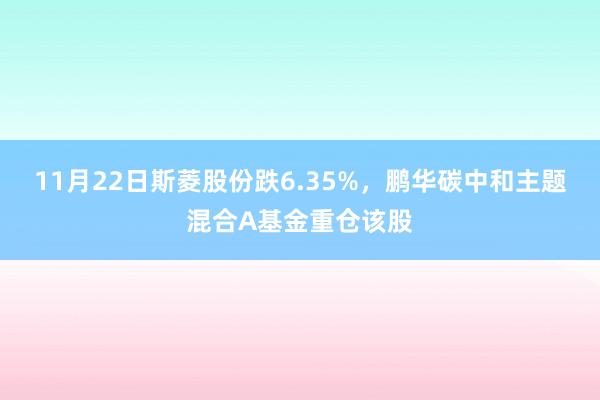 11月22日斯菱股份跌6.35%，鹏华碳中和主题混合A基金重仓该股