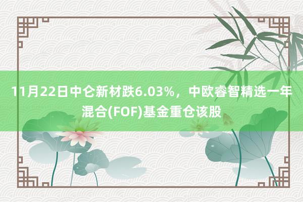 11月22日中仑新材跌6.03%，中欧睿智精选一年混合(FOF)基金重仓该股