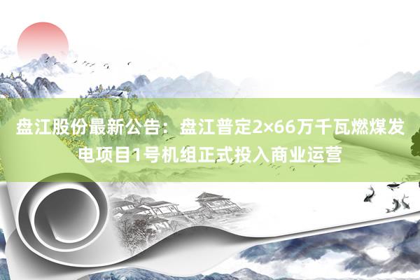 盘江股份最新公告：盘江普定2×66万千瓦燃煤发电项目1号机组正式投入商业运营