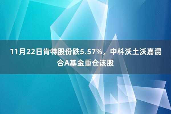 11月22日肯特股份跌5.57%，中科沃土沃嘉混合A基金重仓该股