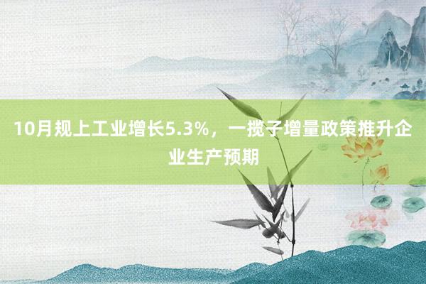 10月规上工业增长5.3%，一揽子增量政策推升企业生产预期