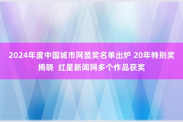 2024年度中国城市网盟奖名单出炉 20年特别奖揭晓  红星新闻网多个作品获奖