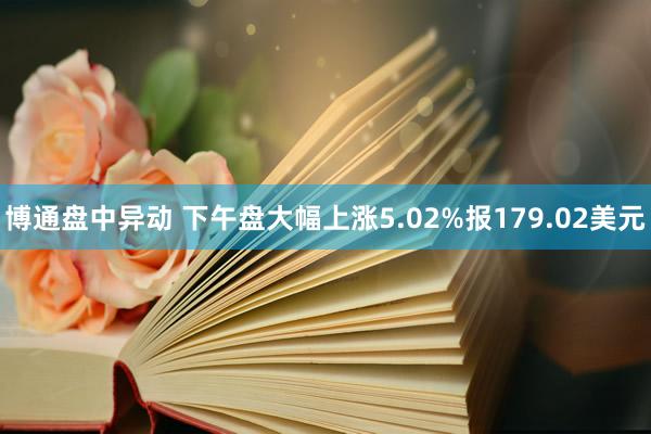 博通盘中异动 下午盘大幅上涨5.02%报179.02美元