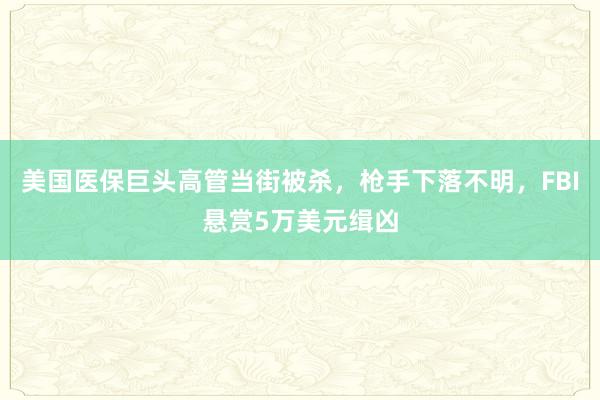 美国医保巨头高管当街被杀，枪手下落不明，FBI悬赏5万美元缉凶