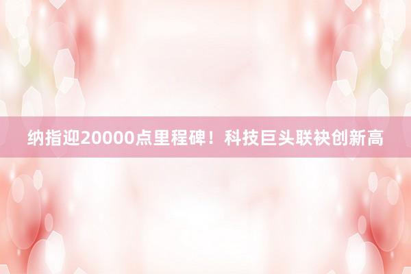 纳指迎20000点里程碑！科技巨头联袂创新高