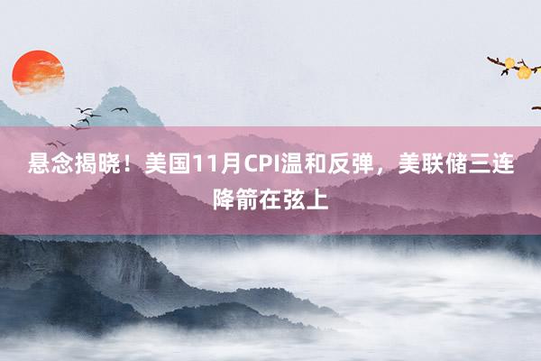 悬念揭晓！美国11月CPI温和反弹，美联储三连降箭在弦上