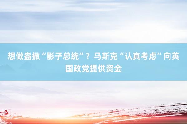 想做盎撒“影子总统”？马斯克“认真考虑”向英国政党提供资金