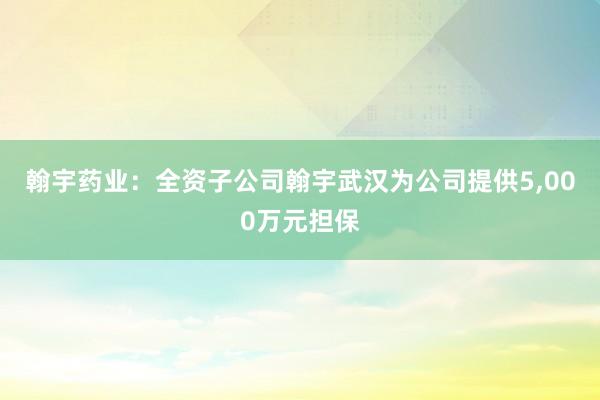 翰宇药业：全资子公司翰宇武汉为公司提供5,000万元担保