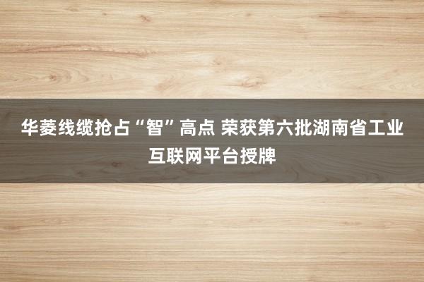 华菱线缆抢占“智”高点 荣获第六批湖南省工业互联网平台授牌