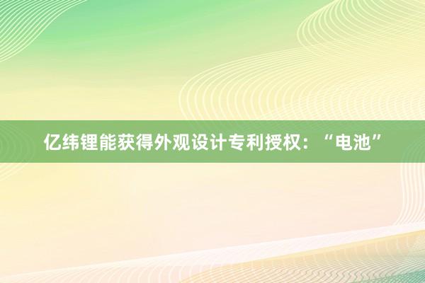 亿纬锂能获得外观设计专利授权：“电池”