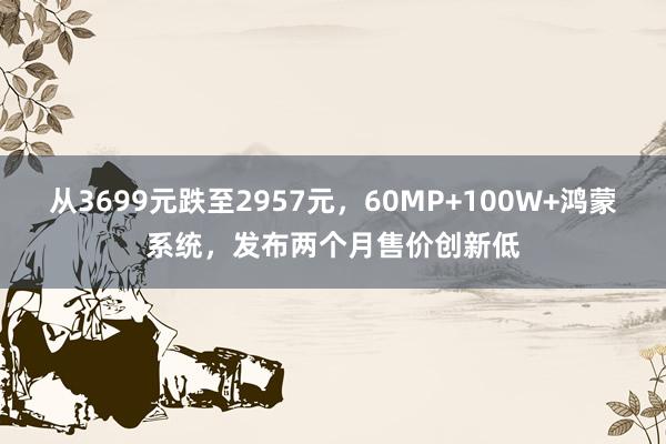 从3699元跌至2957元，60MP+100W+鸿蒙系统，发布两个月售价创新低